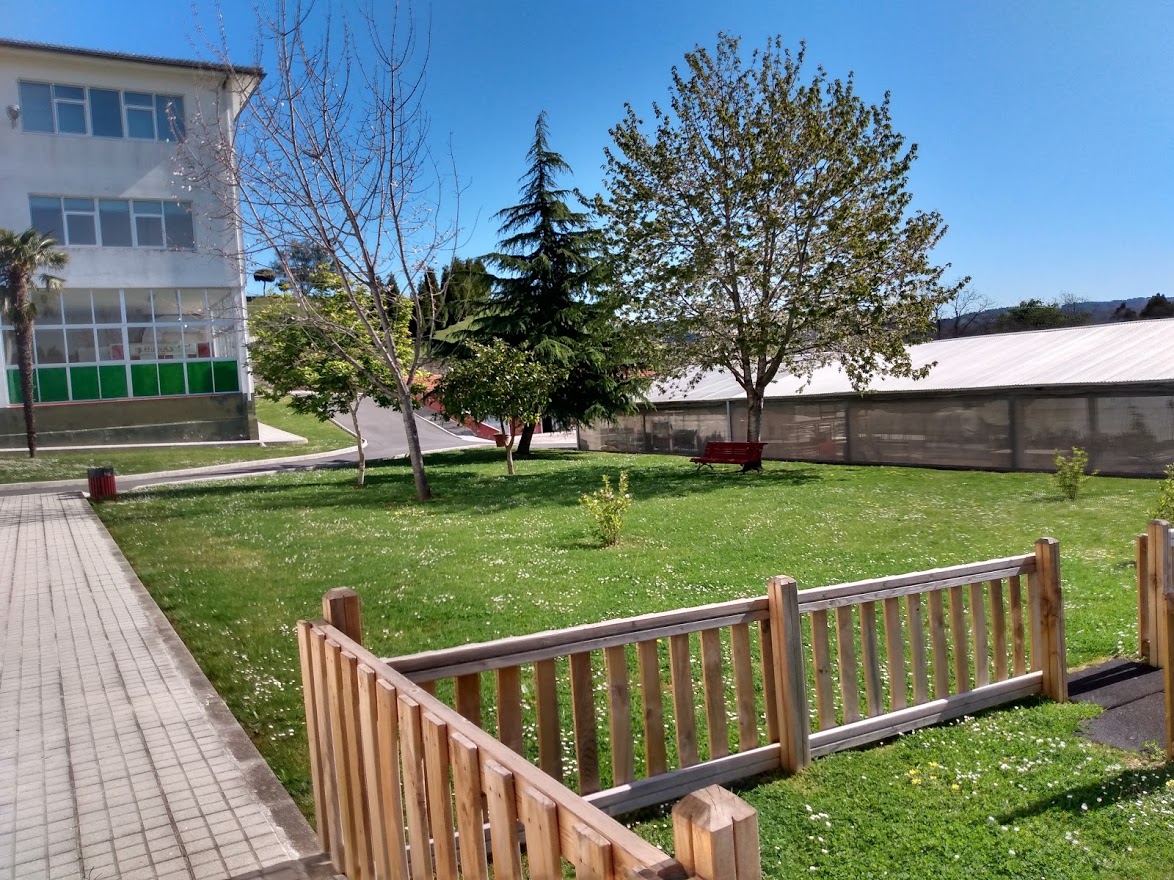 IMG_20210405_120956225_HDR